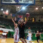 Hermes Sibenka 8597