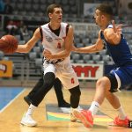 Cibona Gorica 2490