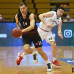 Cibona Gorica 9895