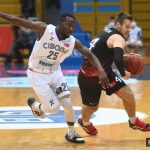 Cibona Gorica 9913