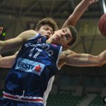 Cibona Hermes 8185