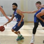 Gorica Cibona 9505