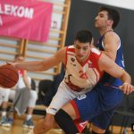 Gorica Cibona 9531