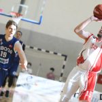 Gorica Cibona 9537