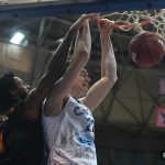 Cibona Sibenka 1996