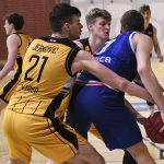 Dubrava Cibona 6753