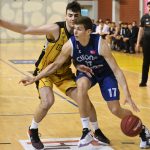 Dubrava Cibona 6763