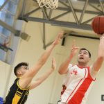 Gorica Dubrava 6593