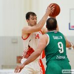 00 Gorica Sonik