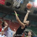 Cibona Gorica 3234