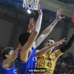 Dubrava Cibona 1824