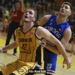 Dubrava Cibona 1852