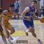 Dubrava Cibona 1875