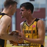 Dubrava Cibona 1879