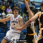 Cibona Split 8126