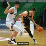 Cibona Split 8138