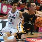 Cibona Split 8164