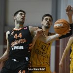 Dubrava Cedevita 8232