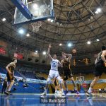 Cibona Dubrava 8166