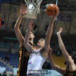 Cibona Dubrava 8198
