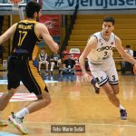 Cibona Dubrava 8202