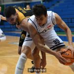 Cibona Dubrava 8219