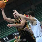 Cibona Dubrava 8229