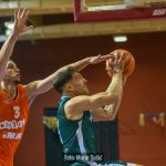 CedevitaJunior Sonik 8787