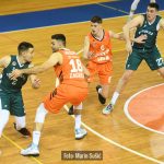 CedevitaJunior Sonik 8809