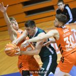 CedevitaJunior Sonik 8830