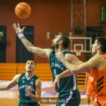 CedevitaJunior Sonik 8928
