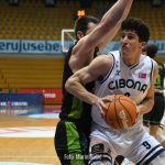 Cibona Skrljevo 9537