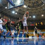 Cibona Skrljevo 9546