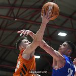 CedevitaJunior Cibona 2298