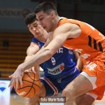 CedevitaJunior Cibona 2316