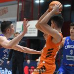 CedevitaJunior Cibona 2448
