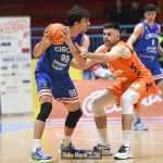 CedevitaJunior Cibona 2516