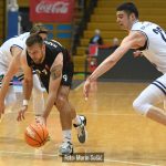Cibona Gorica 3722