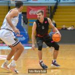 Cibona Gorica 3786