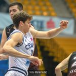 Cibona Gorica 3790