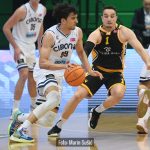 Cibona Split 6379