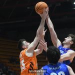 CedevitaJunior Cibona 7635