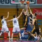 Cibona Dubrava 9343