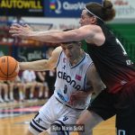 Cibona Gorica 1547
