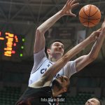 Cibona Gorica 1604