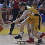 Dubrava Cibona 9447