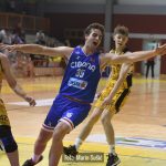 Dubrava Cibona 9450