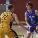 Dubrava Cibona 9469