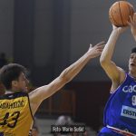Dubrava Cibona 9472