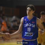 Dubrava Cibona 9489